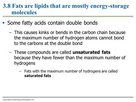 3.8 Fats are lipids that are mostly energy-storage molecules  Some fatty acids contain double bonds –This causes kinks or bends in the carbon chain because.