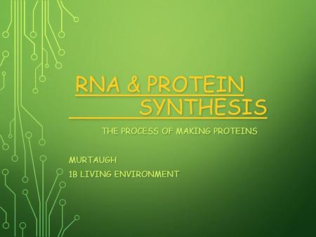 RNA & PROTEIN SYNTHESIS RNA & PROTEIN SYNTHESISRNA & PROTEIN SYNTHESISRNA & PROTEIN SYNTHESIS THE PROCESS OF MAKING PROTEINS MURTAUGH 1B LIVING ENVIRONMENT.