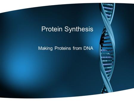 Protein Synthesis Making Proteins from DNA. DNA & the Nucleus DNA cannot leave the nucleus! So how can we get the information for making proteins out.