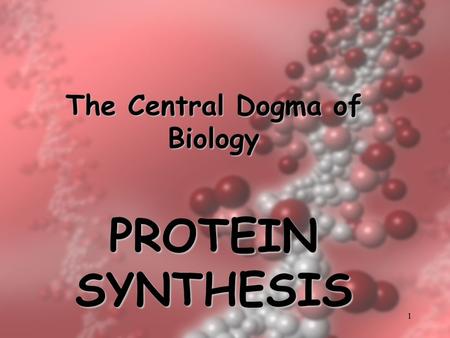 1 The Central Dogma of Biology PROTEIN SYNTHESIS.