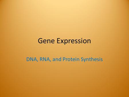 Gene Expression DNA, RNA, and Protein Synthesis. Gene Expression Genes contain messages that determine traits. The process of expressing those genes includes.