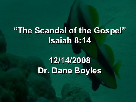 “The Scandal of the Gospel” Isaiah 8:14 12/14/2008 Dr. Dane Boyles.