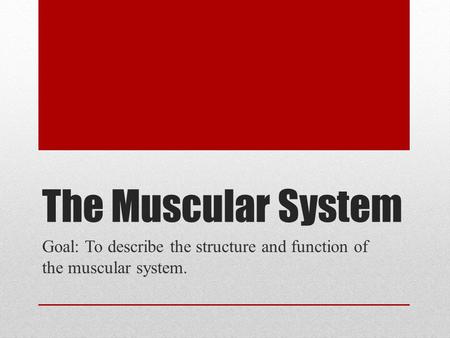 The Muscular System Goal: To describe the structure and function of the muscular system.