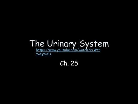 The Urinary System Ch. 25 https://www.youtube.com/watch?v=Wtr YotjYvtU.