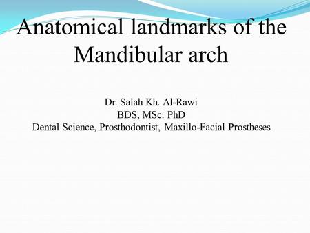 Anatomical landmarks of the Mandibular arch