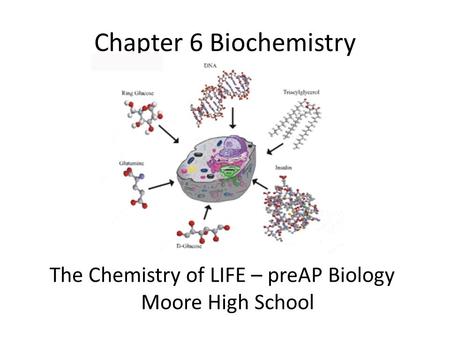 Chapter 6 Biochemistry The Chemistry of LIFE – preAP Biology Moore High School.