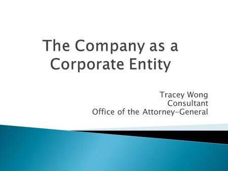 The Company as a Corporate Entity