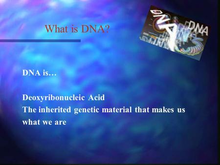 What is DNA? DNA is… Deoxyribonucleic Acid The inherited genetic material that makes us what we are.