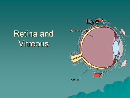 Retina and Vitreous Retina.