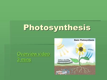 Photosynthesis Overview video 3 mins Overview video 3 mins.