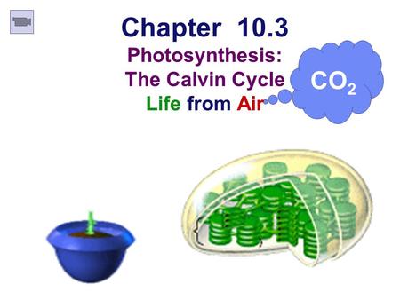 CO 2 Chapter 10.3 Photosynthesis: The Calvin Cycle Life from Air.