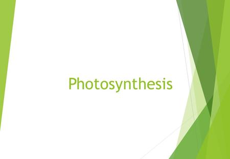 Photosynthesis. How do we know that plants make carbohydrates from just carbon dioxide water and light energy?  For example: Jan Baptisa van Helmont.
