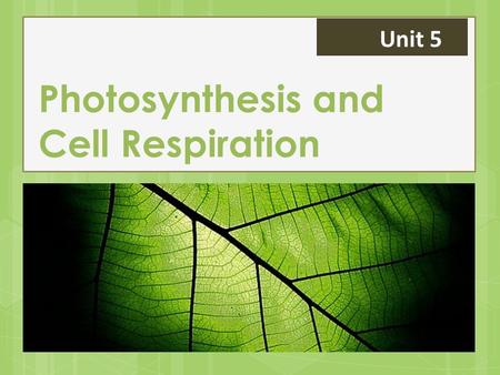 Photosynthesis and Cell Respiration Unit 5. Energy in the Cell All cells require energy Adenosine triphosphate (ATP) is the “energy currency” in the cell.