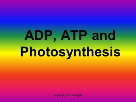 ADP, ATP and Photosynthesis Copyright Cmassengale.