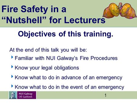 1 Fire Safety in a “Nutshell” for Lecturers Objectives of this training. At the end of this talk you will be:  Familiar with NUI Galway’s Fire Procedures.