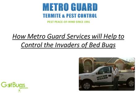 How Metro Guard Services will Help to Control the Invaders of Bed Bugs.