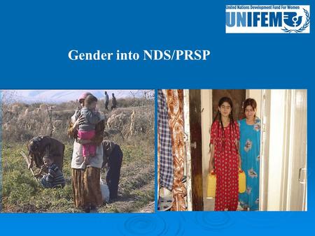 Gender into NDS/PRSP. Gender profile  19,7% of households are headed by a women (in 1999 - 17,6%)  MICS 2005: Net attendance ratio, secondary school: