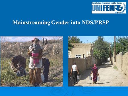 Mainstreaming Gender into NDS/PRSP. Gender profile  19,7% of households are headed by a women (in 1999 - 17,6%)  About 73% of women’s labor is not paid.
