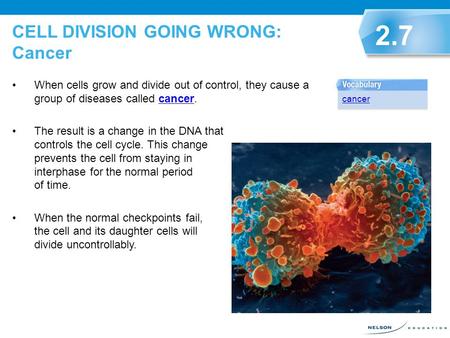 CELL DIVISION GOING WRONG: Cancer When cells grow and divide out of control, they cause a group of diseases called cancer.cancer The result is a change.