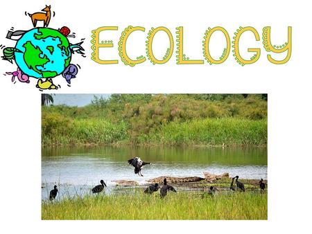 EQ: How does population size affect an ecosystem?