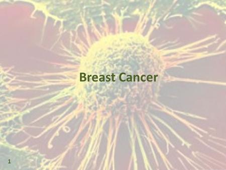 Breast Cancer 1. Leukemia & Lymphoma New diagnoses each year in the US: 112, 610 Adults 5,720 Children 43,340 died of leukemia or lymphoma in 2010 2.