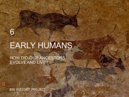 EARLY HUMANS HOW DID OUR ANCESTORS EVOLVE AND LIVE? 6.