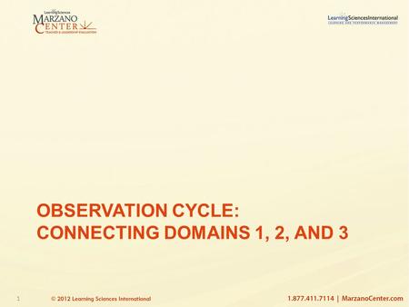 1 OBSERVATION CYCLE: CONNECTING DOMAINS 1, 2, AND 3.