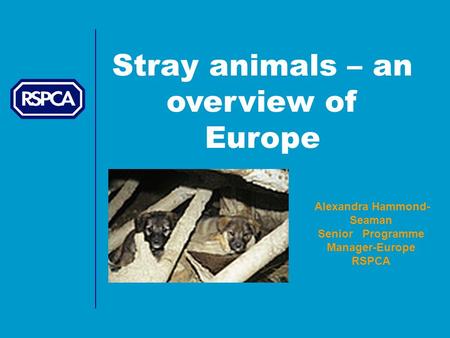 Stray animals – an overview of Europe Alexandra Hammond- Seaman Senior Programme Manager-Europe RSPCA.