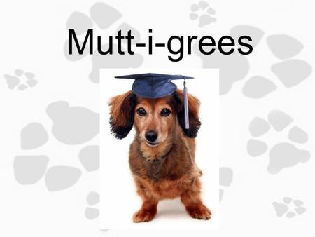 Mutt-i-grees 1.4 The Best of Both Worlds Objective: Today you will identify personal traits/characteristics that you like about yourself and others to.