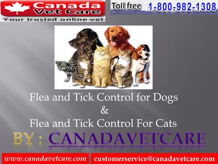 Flea and Tick Control for Dogs & Flea and Tick Control For Cats.