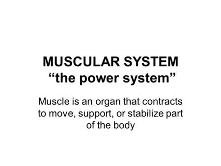 MUSCULAR SYSTEM “the power system” Muscle is an organ that contracts to move, support, or stabilize part of the body.