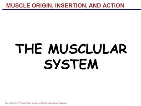 Copyright © 2004 Pearson Education, Inc., publishing as Benjamin Cummings MUSCLE ORIGIN, INSERTION, AND ACTION THE MUSCLULAR SYSTEM.