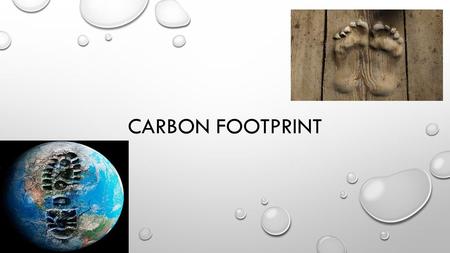 CARBON FOOTPRINT. REMEMBER THE CARBON CYCLE… LIST THE VARIOUS WAYS YOU DEPEND ON ENERGY IN A TYPICAL DAY.