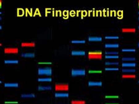 History Evidence BIOLOGICAL EVIDENCE EXAMINED FOR INHERITED TRAITS TECHNIQUES EMERGED FROM HEALTHCARE DNA FINGERPRINTING DEVELOPED IN 1984.