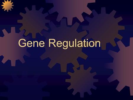 Gene Regulation. Regulatory genes Promoter: where RNA polymerase attaches. TATA box: a segment on eukaryotic genes that positions RNA polymerase in the.