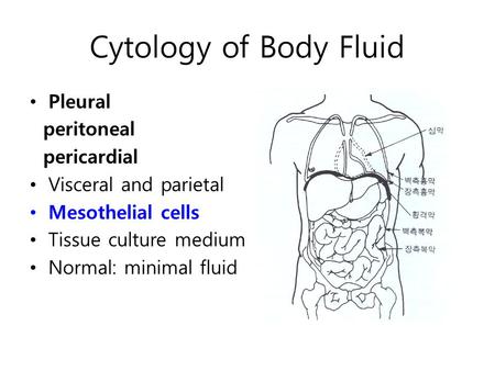 Cytology of Body Fluid Pleural peritoneal pericardial