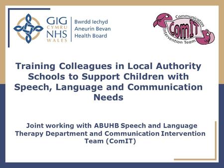Joint working with ABUHB Speech and Language Therapy Department and Communication Intervention Team (ComIT) Training Colleagues in Local Authority Schools.