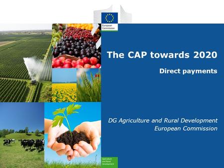 The CAP towards 2020 Direct payments DG Agriculture and Rural Development European Commission.