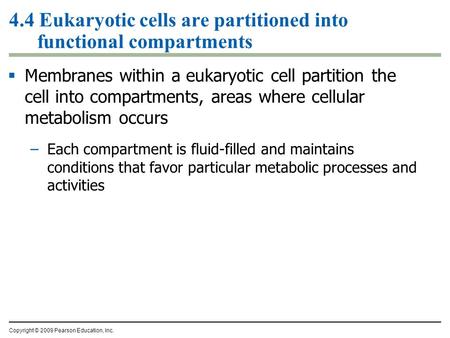 4.4 Eukaryotic cells are partitioned into functional compartments  Membranes within a eukaryotic cell partition the cell into compartments, areas where.