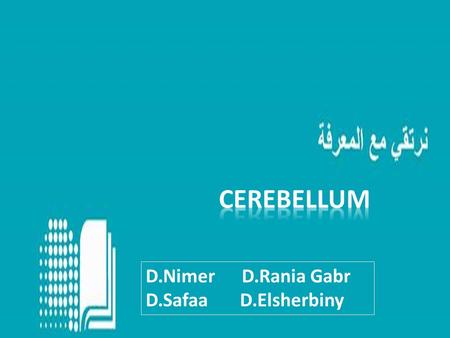 Cerebellum D.Nimer D.Rania Gabr D.Safaa D.Elsherbiny.
