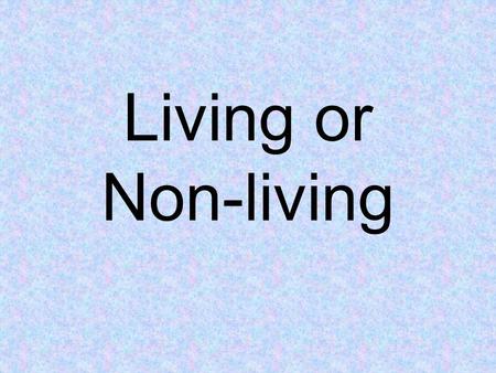 Living or Non-living. Directions Number paper 1 – 20 List each object and then write “Living” or “Non-living”