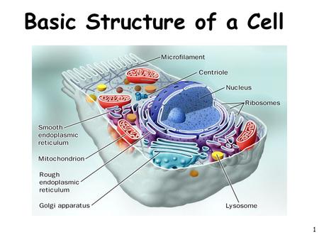 1 Basic Structure of a Cell. 2 Review Facts About Living Things.