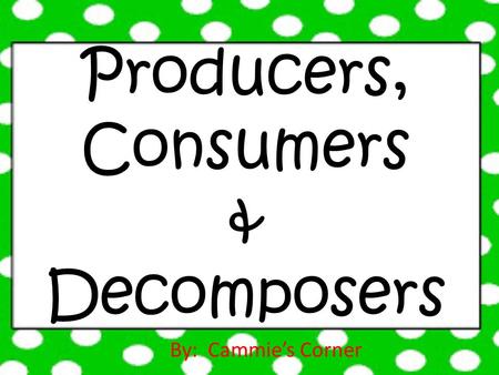 Producers, Consumers & Decomposers