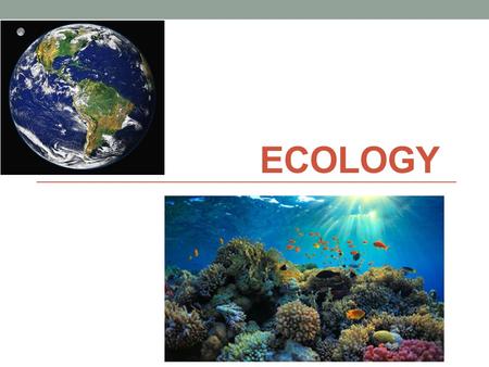 ECOLOGY. What is Ecology? Ecology- the study of interactions between organisms and their environments All environments contain: Biotic factors – any living.