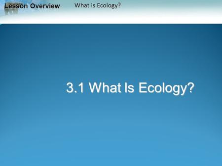 Lesson Overview Lesson Overview What is Ecology? 3.1 What Is Ecology?