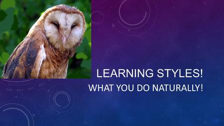 LEARNING STYLES! WHAT YOU DO NATURALLY!. VISUAL/VERBAL LEARNER See it, read it Study best alone.