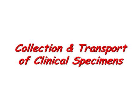 Collection & Transport of Clinical Specimens. Sore throat A swab from tonsils or pharynx to be cultured on the day of sampling for B-haemolytic streptococci.