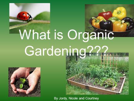 What is Organic Gardening??? By Jordy, Nicole and Courtney.