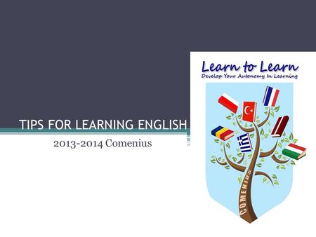 TIPS FOR LEARNING ENGLISH 2013-2014 Comenius. Have desire and know your motive! Want to learn a new language. Learning English requires a lot of study.