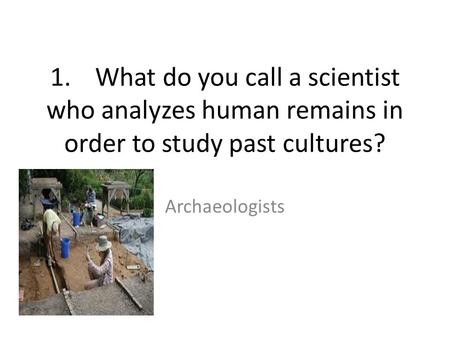 1.What do you call a scientist who analyzes human remains in order to study past cultures? Archaeologists.